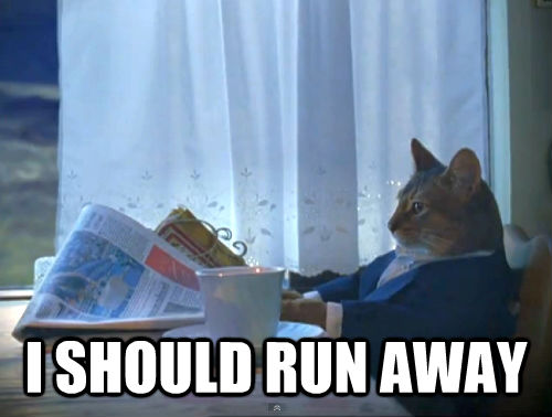  I SHOULD RUN AWAY  The One Percent Cat