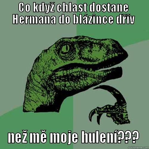 CO KDYŽ CHLAST DOSTANE HERMANA DO BLÁZINCE DŘÍV NEŽ MĚ MOJE HULENÍ??? Philosoraptor