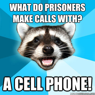 what do prisoners make calls with? a cell phone!   Lame Pun Coon