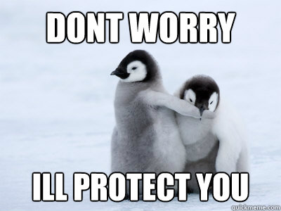 Dont Worry Ill protect you  Protective Penguin
