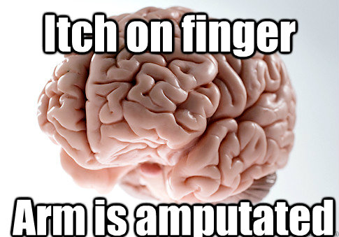 Itch on finger Arm is amputated  Scumbag Brain