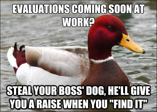 Evaluations coming soon at work?
 Steal your boss' dog, he'll give you a raise when you 