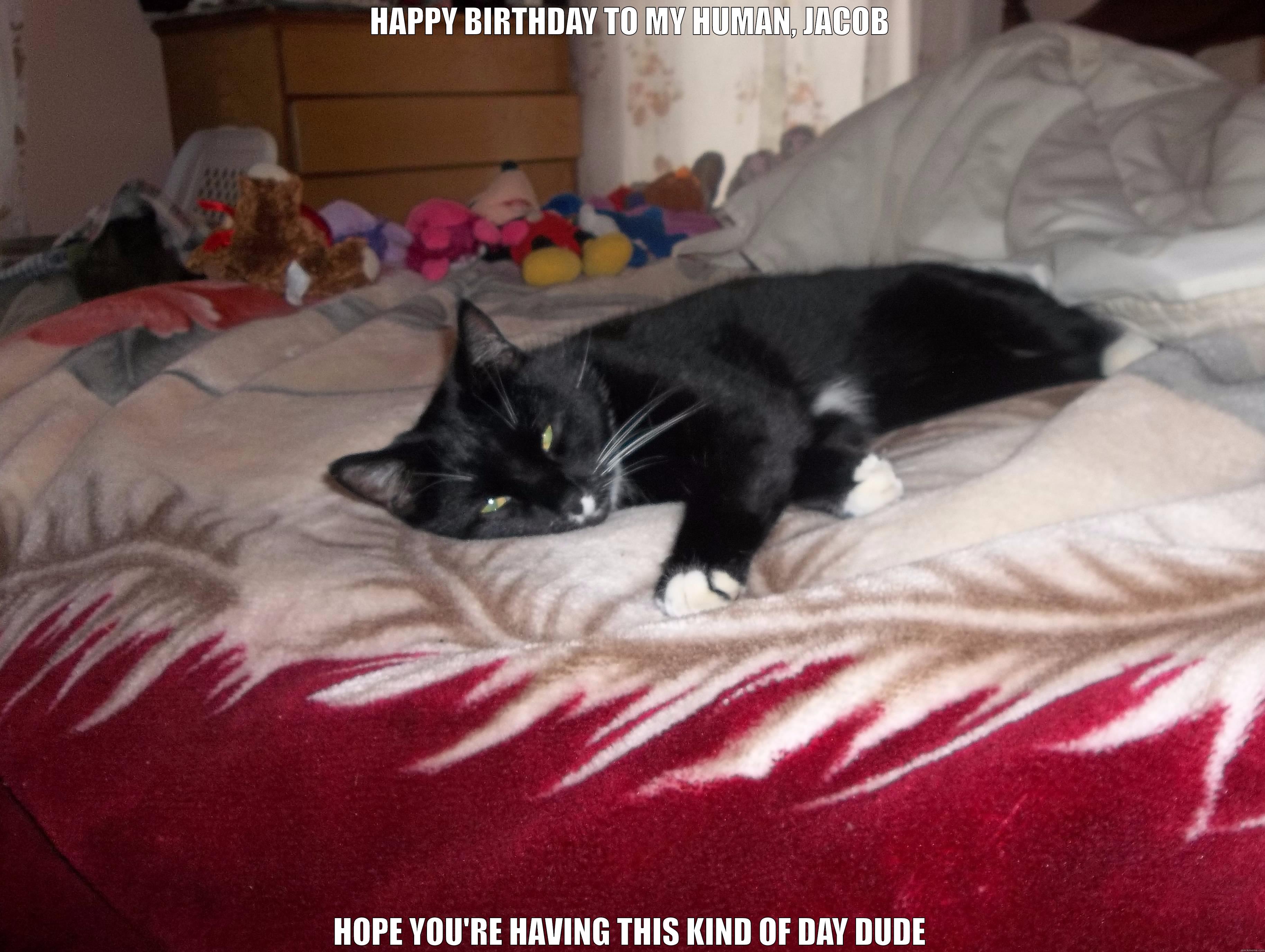 HAPPY BIRTHDAY TO MY HUMAN, JACOB HOPE YOU'RE HAVING THIS KIND OF DAY DUDE Misc