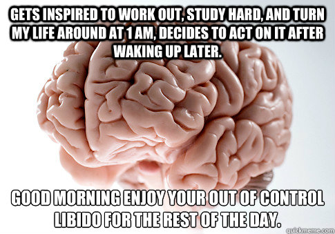 Gets inspired to work out, study hard, and turn my life around at 1 Am, decides to act on it after waking up later. Good morning Enjoy your out of control libido for the rest of the day.   Scumbag Brain