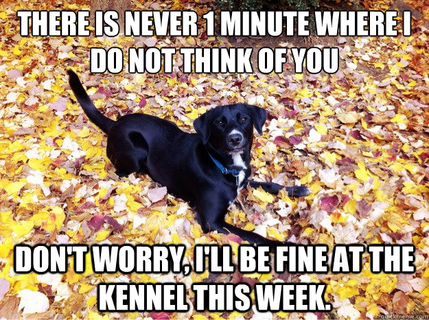 There is never 1 minute where I do not think of you Don't worry, I'll be fine at the kennel this week.  - There is never 1 minute where I do not think of you Don't worry, I'll be fine at the kennel this week.   Guilt Giving Good Dog