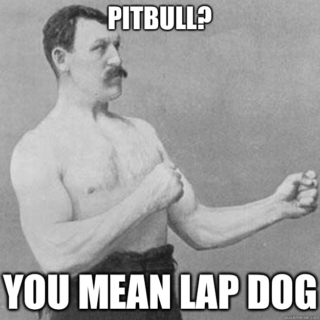 Pitbull? You mean lap dog  overly manly man
