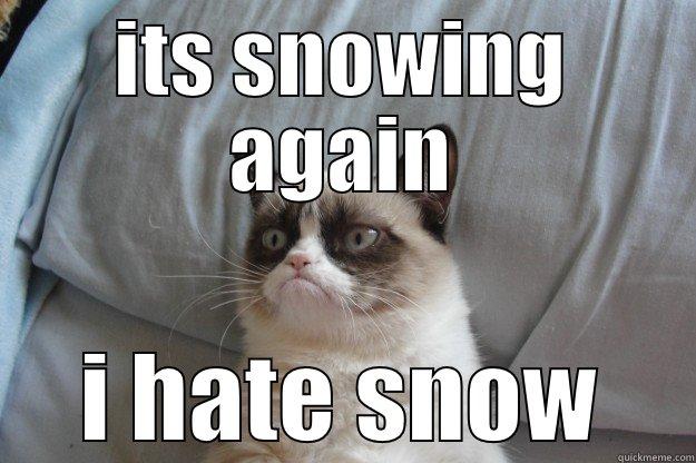 ITS SNOWING AGAIN I HATE SNOW Grumpy Cat