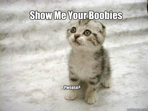 Show Me Your Boobies Pwease?  
