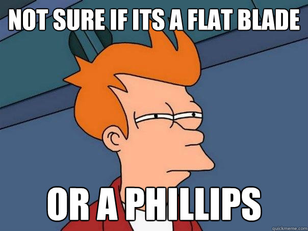 not sure if its a flat blade or a phillips  Futurama Fry