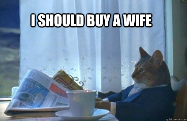 I should buy a wife  Sophisticated Cat