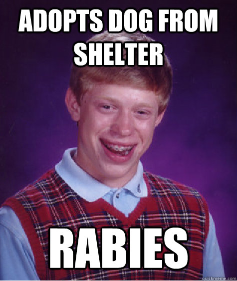 adopts dog from shelter Rabies - adopts dog from shelter Rabies  Bad Luck Brian