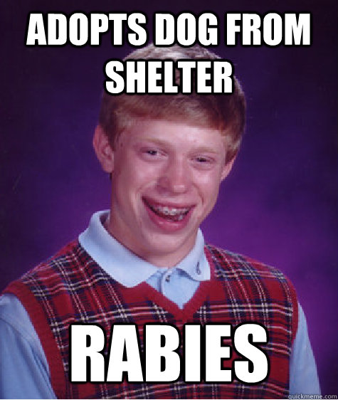 adopts dog from shelter Rabies  Bad Luck Brian