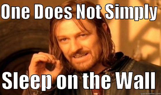 ONE DOES NOT SIMPLY   SLEEP ON THE WALL Boromir