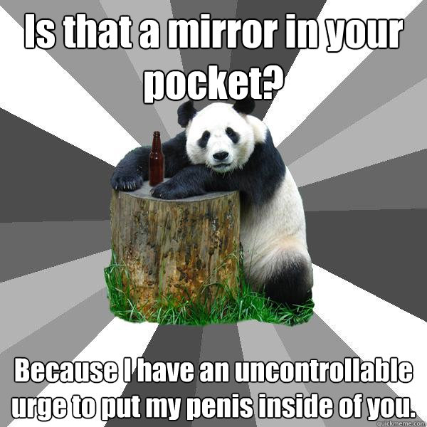 Is that a mirror in your pocket? Because I have an uncontrollable urge to put my penis inside of you.  Pickup-Line Panda