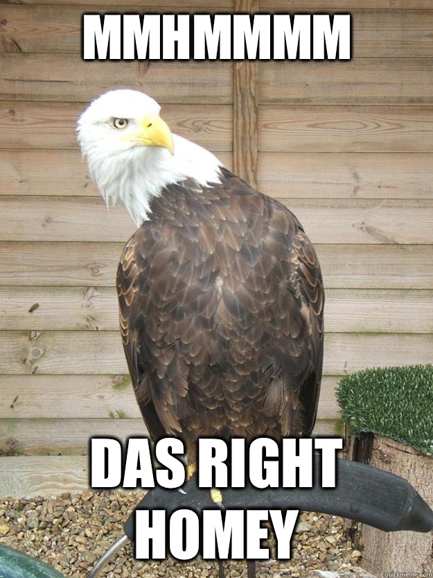 Mmhmmmm Das right homey - Mmhmmmm Das right homey  Sassy Bald Eagle