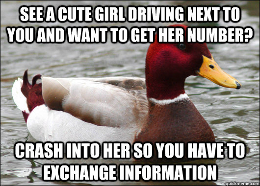 See a cute girl driving next to you and want to get her number? crash into her so you have to exchange information - See a cute girl driving next to you and want to get her number? crash into her so you have to exchange information  Malicious Advice Mallard