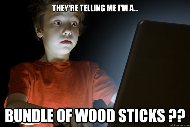 they're telling me I'm a... Bundle of wood sticks ??  scared first day on the internet kid