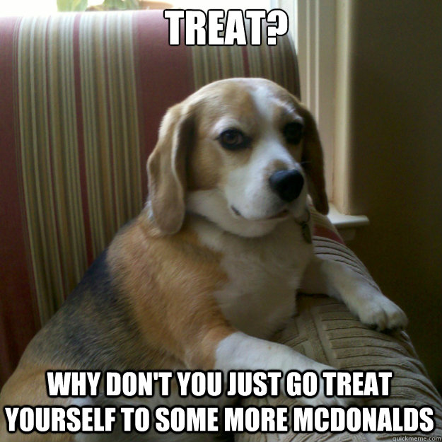 treat? why don't you just go treat yourself to some more mcdonalds   judgmental dog