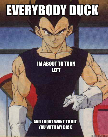 Everybody duck IM ABOUT TO TURN LEFT AND I DONT WANT TO HIT YOU WITH MY DICK  