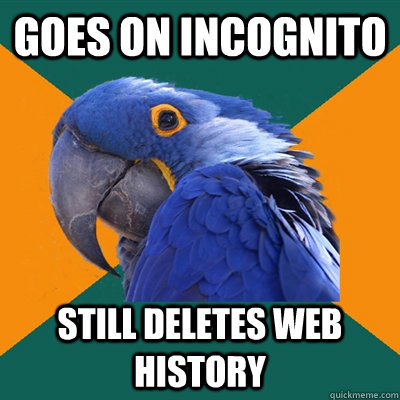goes on incognito still deletes web history   Paranoid Parrot
