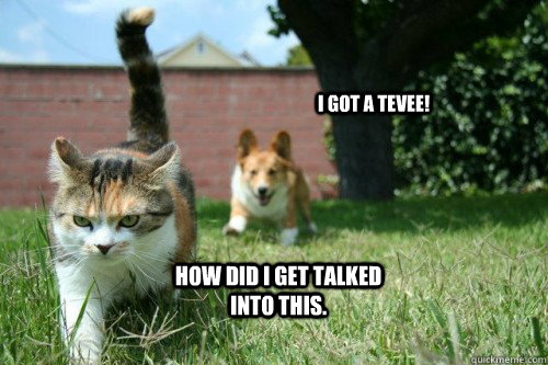 I got a TEVEE! How did I get talked into this. - I got a TEVEE! How did I get talked into this.  surly cat
