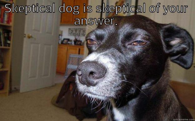 skeptical dog - SKEPTICAL DOG IS SKEPTICAL OF YOUR ANSWER.  Skeptical Mutt