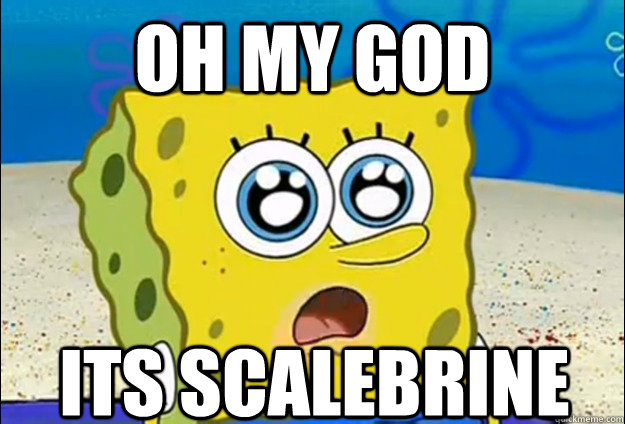 oh my god its scalebrine  