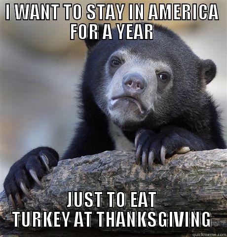I WANT TO STAY IN AMERICA FOR A YEAR JUST TO EAT TURKEY AT THANKSGIVING Confession Bear