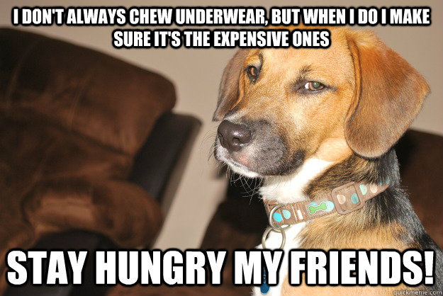 I don't always chew underwear, but when i do i make sure it's the expensive ones Stay hungry my friends!  
