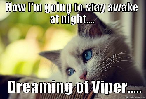 NOW I'M GOING TO STAY AWAKE AT NIGHT....    DREAMING OF VIPER..... First World Problems Cat
