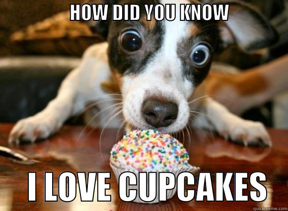                    HOW DID YOU KNOW                      I LOVE CUPCAKES   Misc