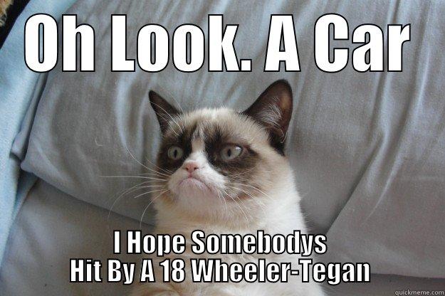 OH LOOK. A CAR I HOPE SOMEBODYS HIT BY A 18 WHEELER-TEGAN Grumpy Cat