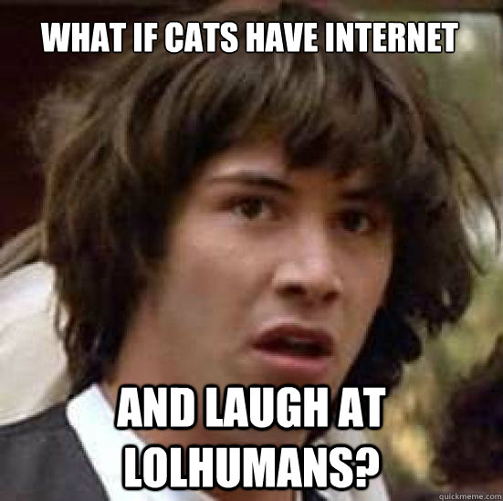 What if cats have internet and laugh at lolhumans?  conspiracy keanu