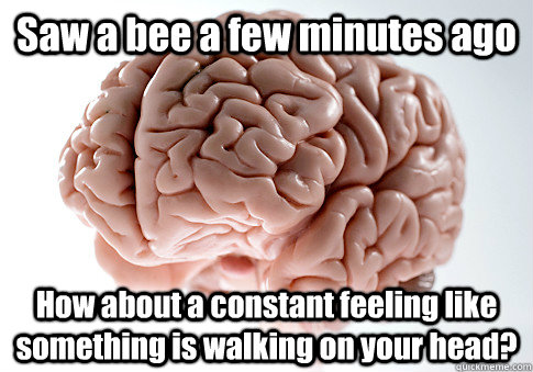 Saw a bee a few minutes ago How about a constant feeling like something is walking on your head?  Scumbag Brain