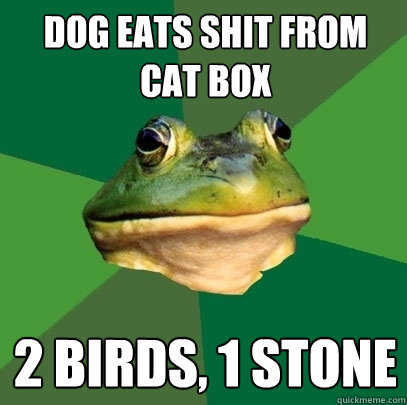 dog eats shit from cat box 2 birds, 1 stone  Foul Bachelor Frog
