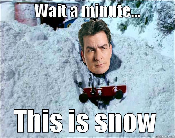            WAIT A MINUTE...            THIS IS SNOW Misc