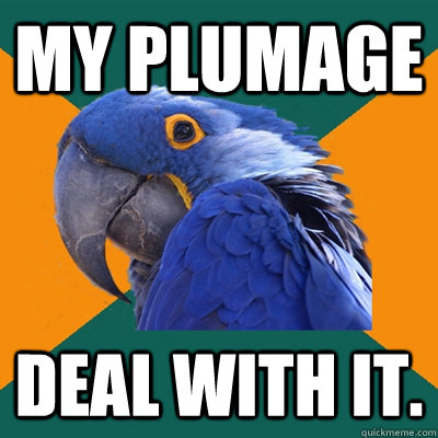 My plumage Deal with it.  Paranoid Parrot