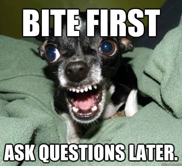 BITE FIRST Ask questions later.  Chihuahua Logic