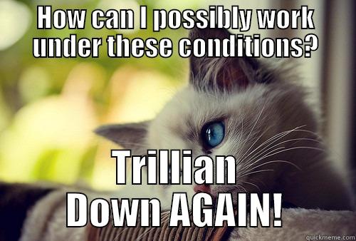 HOW CAN I POSSIBLY WORK UNDER THESE CONDITIONS? TRILLIAN DOWN AGAIN! First World Problems Cat