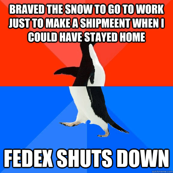 braved the snow to go to work just to make a shipmeent when i could have stayed home fedex shuts down  Socially Awesome Awkward Penguin