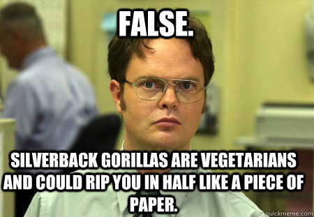 False. Silverback gorillas are vegetarians and could rip you in half like a piece of paper.  Schrute