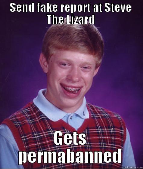 SEND FAKE REPORT AT STEVE THE LIZARD GETS PERMABANNED Bad Luck Brian