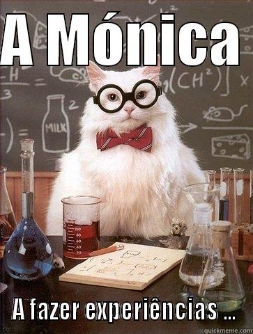 A MÓNICA  A FAZER EXPERIÊNCIAS ... Chemistry Cat