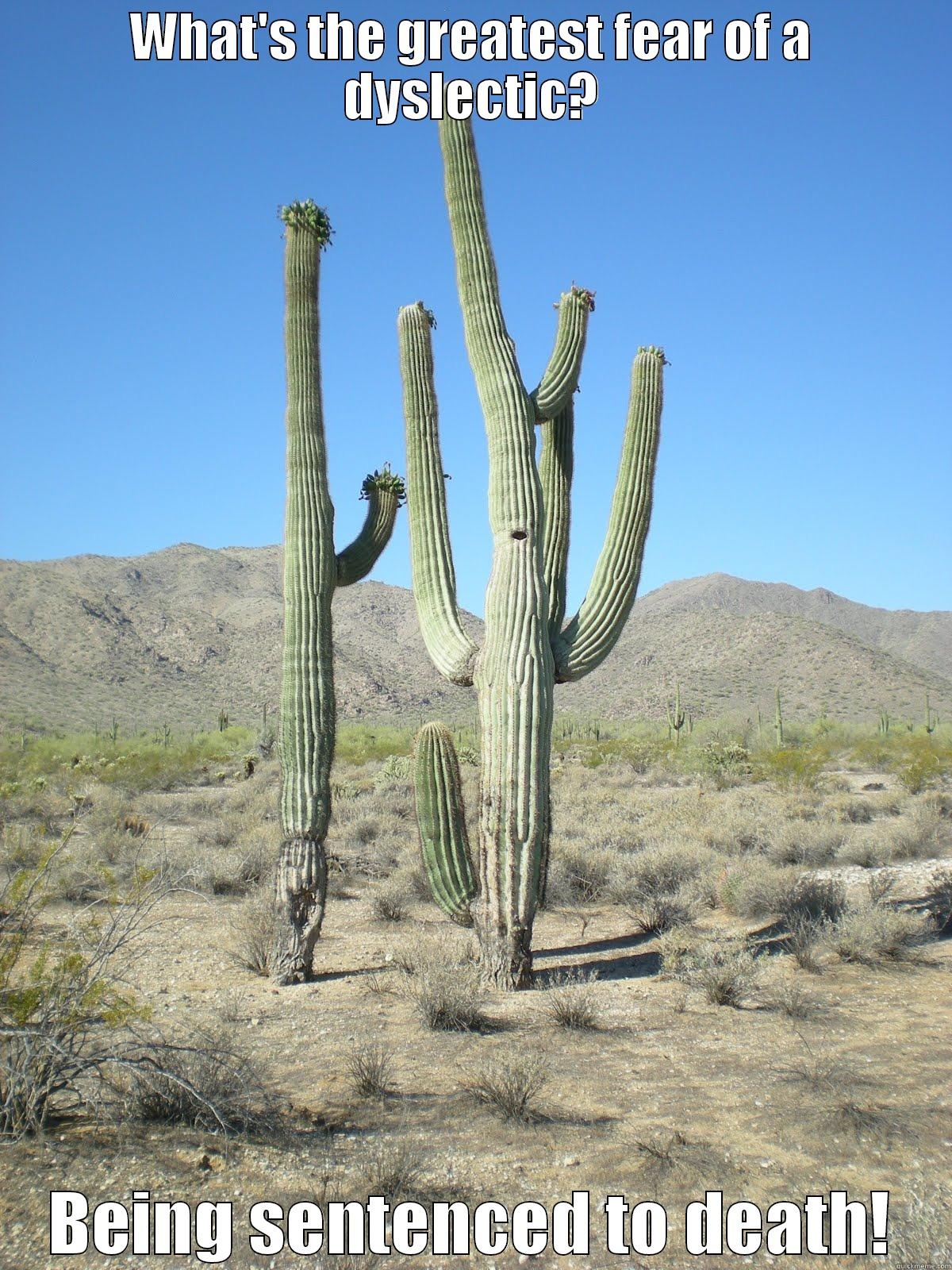 Desert humor - WHAT'S THE GREATEST FEAR OF A DYSLECTIC? BEING SENTENCED TO DEATH! Misc