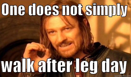 Leg day - ONE DOES NOT SIMPLY   WALK AFTER LEG DAY Boromir