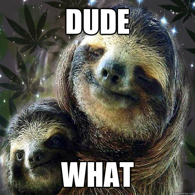 dude what - dude what  10 Sloth