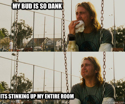 My bud is so dank Its stinking up my entire room  First World Stoner Problems