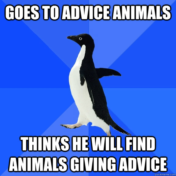 Goes to Advice Animals thinks he will find animals giving advice  Socially Awkward Penguin
