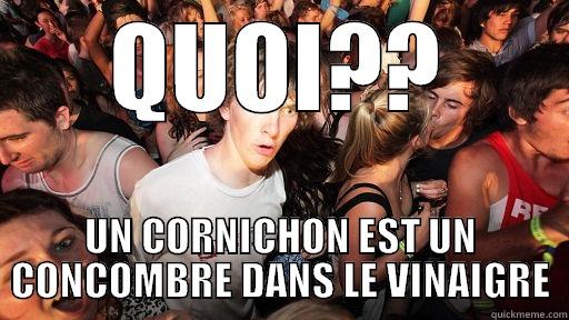 QUOI?? UN CORNICHON EST UN CONCOMBRE DANS LE VINAIGRE Sudden Clarity Clarence