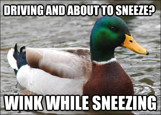 driving and about to sneeze? wink while sneezing  Actual Advice Mallard